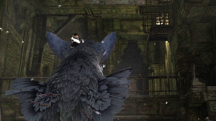 the last guardian