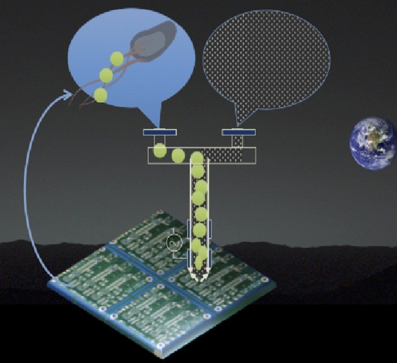 NASA Funds Microbes That Could Break down Metal