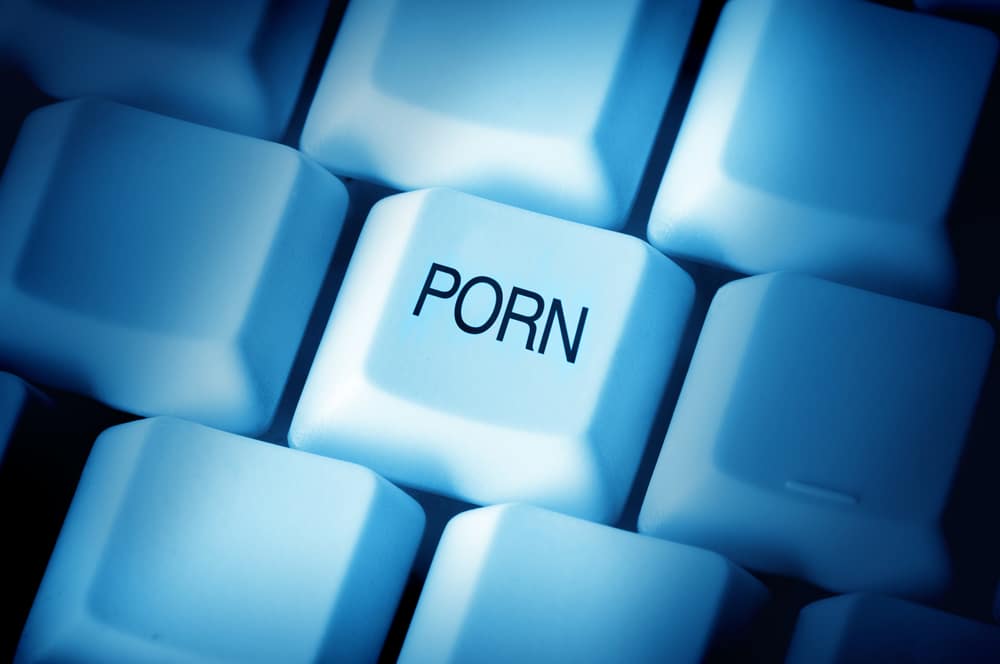 Porn Drop Com - Researchers Suggest Internet Porn Has Caused Drop in US Marriage ...